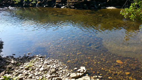Río Boeza