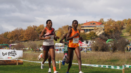 thumbnail_NP04. XXXI Campo a traves de Soria 10-11-2025. Soria, de nuevo con los mejores croses del mundo