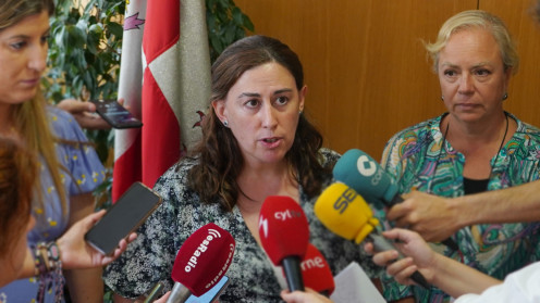 polemica-dimision-tamames-covid