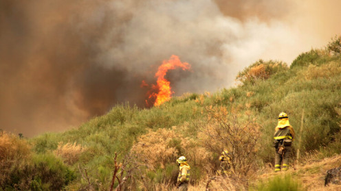 Peio García / ICAL . El incendio de Fasgar amenaza a las poblaciones de Villapujín, Barrio de la Puente y Posada de Omaña. 