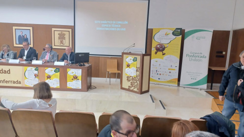 Arranque de Biocastanea