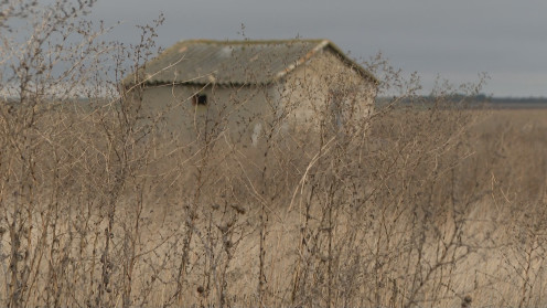 Edificación donde apareció el cadáver.