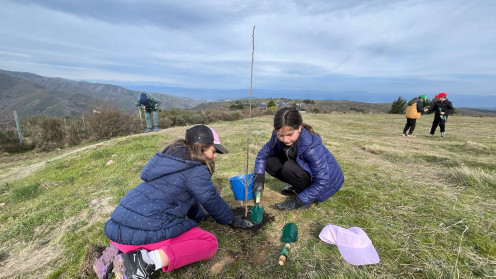 Plantación de árboles por parte de alumnos de un colegio en San Cristóbal de Valdueza