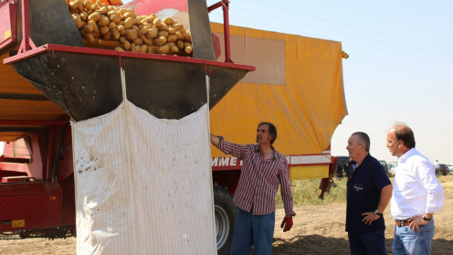 ICAL. El consejero de Agricultura, Joaquín Pino, presenta un estudio sobre los costes de producción de la patata.