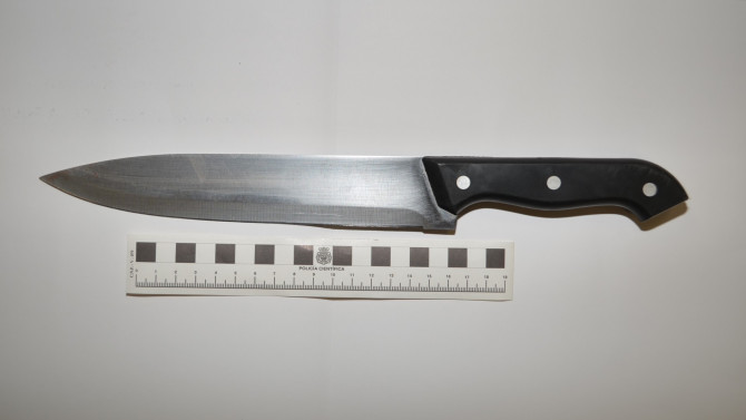 Se intervino un cuchillo cuya longitud de hoja era de unos 21 centímetros .