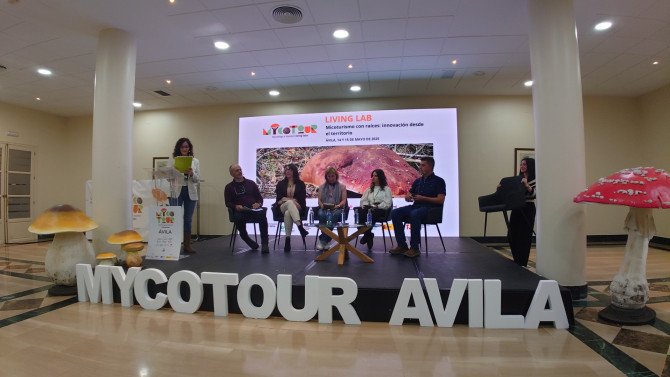 La 17ª Asamblea General del Instituto Europeo de Micología (EMI) se ha celebrado en el Ayuntamiento de Soria y retransmitida por videoconferencia .