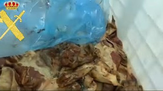 Captura de pantalla 2025-10-31 121734.jpeg