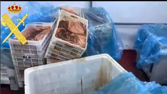 Captura de pantalla 2025-10-31 121840.jpeg