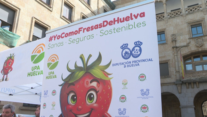 Reparto de fresas en Salamanca