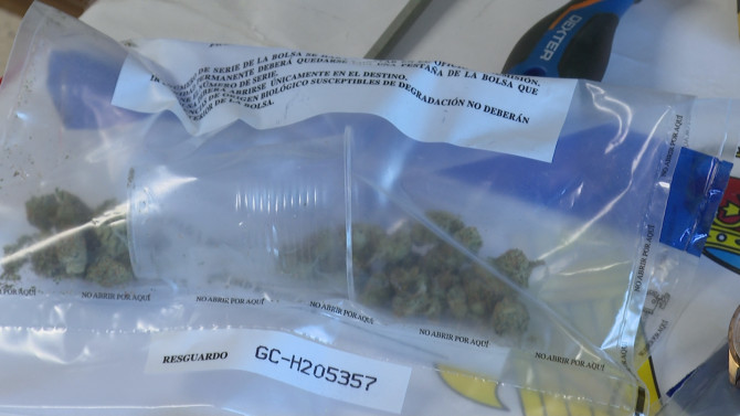 Droga incautada durante la operación 