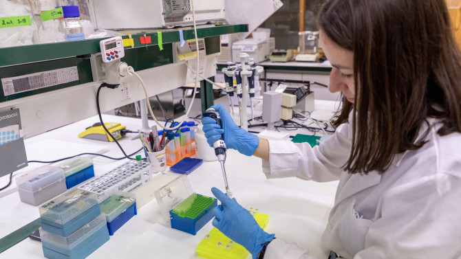ICAL. El Centro de Investigación de Cáncer, ubicado en Salamanca, abre nuevas vías terapéuticas para el colangiocarcinoma