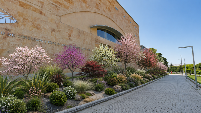 Recreación de la plantación de árboles junto al Palacio de Congresos