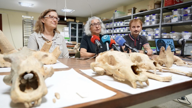 Investigadores de la Universidad de León y del Museo Nacional de Ciencias Naturales presentan la primera Campaña de recuperación de restos de fauna del Cuaternario en cuevas de la provincia / ICAL.