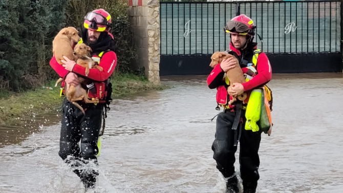 Los bomberos de Almazán actuaron en el rescate de unos perros en una finca aledaña al cauce del río.