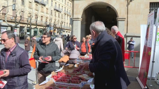Reparto de fresas en Salamanca