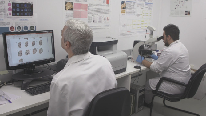 Investigadores del Instituto de Neurociencia de Castilla y León