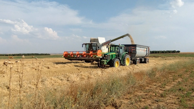 Una cosechadora durante la recolección de cereal en una finca agrícola.