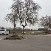 WhatsApp Image 2025-12-15 at 11.20.29