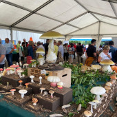 thumbnail_exposicion