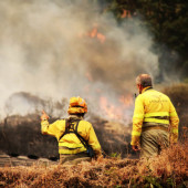 7842-_03MAX202508702995