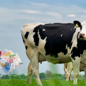 BAJADA PRECIO LECHE