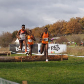 CROSS SORIA