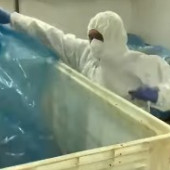 Captura de pantalla 2025-10-31 122000