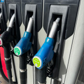 WhatsApp Image 2026-03-05 at 15.52.19