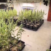 vlcsnap-2026-02-16-13h56m35s466