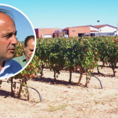 costes-uva-ribera-de-duero-castilla-y-leon-junta