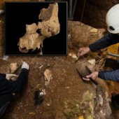 atapuerca-nueva-especie-humana-hallazgo