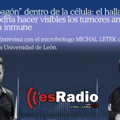 Post de Instagram - TUMOR AL DESCUBIERTO (Fondo de pantalla)