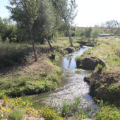 Arroyo de los Barredos