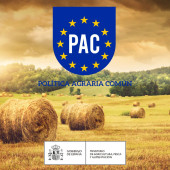imagen-cabecera-pac2021