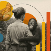 veterinaria-leonesa-salva-orangutanes-borneo