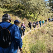 Camino para la Diabetes (1)
