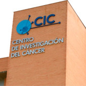 cic