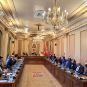 PLENO DIPUTACION