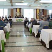 Imagen22