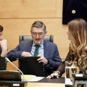 comision-incendios-arranz-cyl-2025