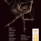 WhatsApp Image 2025-11-19 at 10.29.21