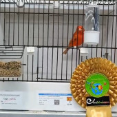 a3115c33-d57b-4268-ab61-b783cdaec918