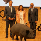 20260601-foro-iberico-palacio3