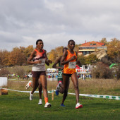 thumbnail_NP04. XXXI Campo a traves de Soria 10-11-2025. Soria, de nuevo con los mejores croses del mundo