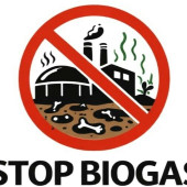castellanos-villiquera-concentracion-contra-planta-biogas-1-e1768769429149