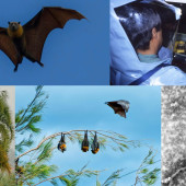 Diseño sin título(2)