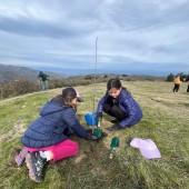 WhatsApp Image 2026-03-18 at 12.50.54