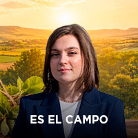 Es el Campo de CyL
