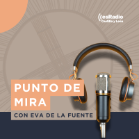 Punto de Mira